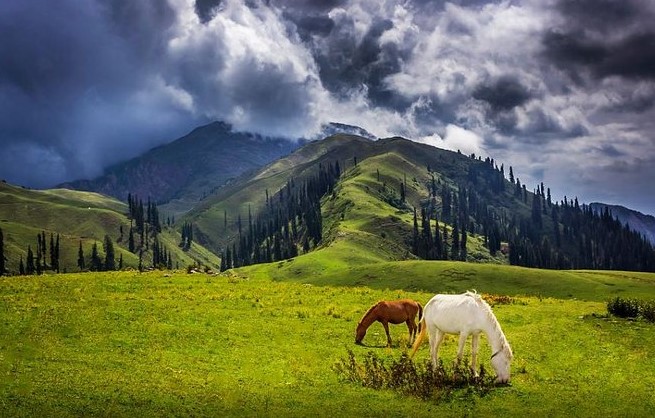 Naran Kaghan Hotels 