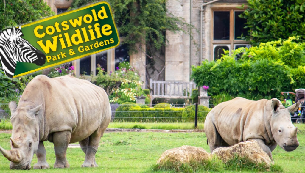 Cotswold Wildlife Park