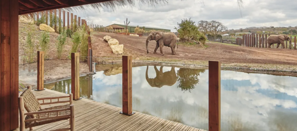 West Midlands Safari Park Lodges