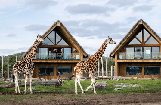 West Midlands Safari Park Lodges