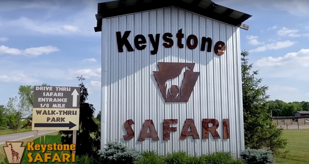 Keystone Safari